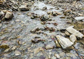 Mountains river in autumn. Close up. Top view.