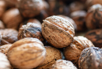 Walnut as background. Harvest from  garden
