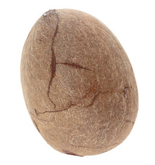 Chopped coconut isolated on a white