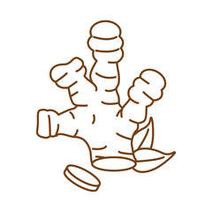 ginger plant and leafs line style