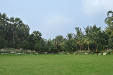 Green grass field, flowers, bushes and fresh trees over blue sky with white clouds, Landscape natural background