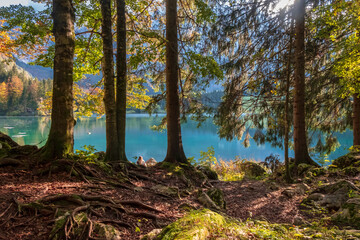 Colorful autumn foliage at the alpine lake
