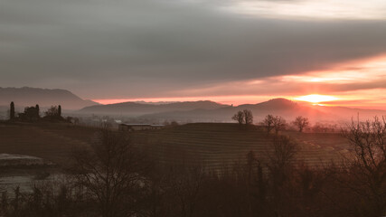 Fototapeta premium Cold misty morning in the vineyards of Italy