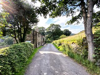 Looking along, Low Lane, with old trees, cottages, and broken sunlight in, Wainstalls, Halifax, UK