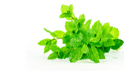 Bunch of fresh mint leaves, on white background.