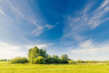 Fototapeta na wymiar Beautiful summer idyllic landscape with green meadow and trees under blue sky with clouds.