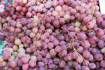 Red grapes at the Catania market