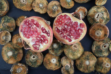 pomegranate and mushrooms as autumn food