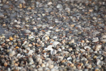 pebbles on the beach
