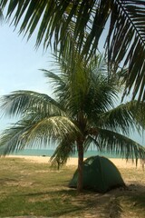 camping on the sandy beach under coconut tree in Port Dickson Malaysia

