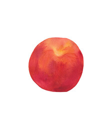 Watercolor orange peach. Juicy fruit on white isolated background.Ingredient for tasty and healthy meals.Design for menus,cards,social networks,prints,packaging,web,ceramics, recipes,decoration.