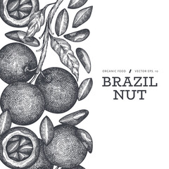 Hand drawn brazilian nut branch and kernels design template. Organic food vector illustration on white background. Retro nut illustration. Engraved style botanical banner.