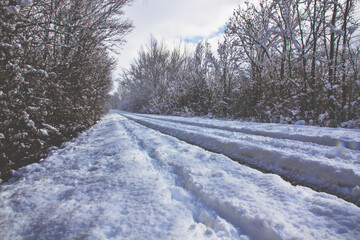 Obraz premium Snowy road between trees