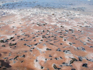 Landscape of the surface of a semi-dried lake covered with mud and salt, and decorated with pink...