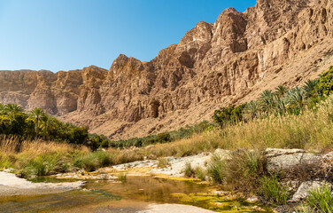 Fototapeta na wymiar Landscape of Wadi Tiwi oasis with water springs, rocks stone and palm trees, Sultanate of Oman.