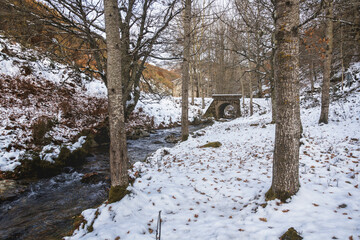 River with a snowy bridge surrounded by trees