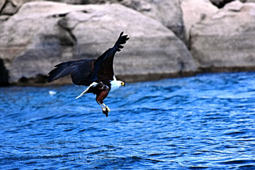 Fishing Eagle Lake Malawi Cape McClear Malawi Africa