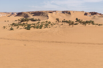 Oasis in the Sahara desert in Chad	