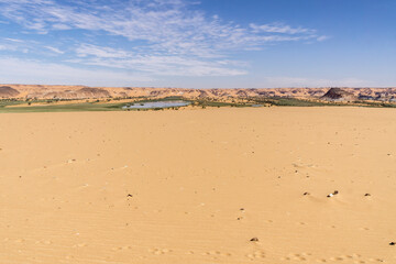 Fototapeta na wymiar Oasis in the Sahara desert in Chad 