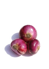 Closeup of  Onions Isolated on White Background in Vertical Orientation