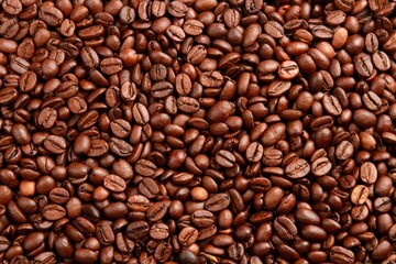 Coffee bean.