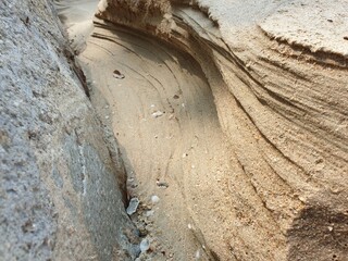 bark texture 
