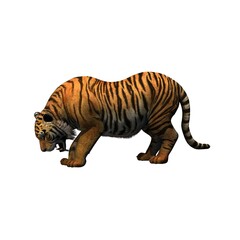 Wild animals - tiger - isolated on white background - 3D illustration