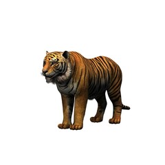 Fototapeta na wymiar Wild animals - tiger - isolated on white background - 3D illustration