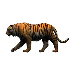Fototapeta na wymiar Wild animals - tiger - isolated on white background - 3D illustration