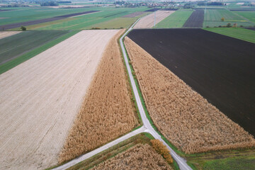 Colorful and rectangular fields with corn and wheat from a bird's eye view
