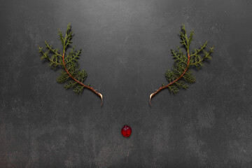 Photography of a reindeer made of Pine branches and red candy on black background