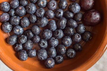 Handmade clay bowl with tasty blueberries and two black grapes. Healthy and vegetarian food.