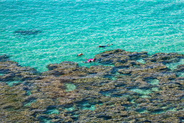 Snorkeling at edge of coral reef in Hanauma Bay, Oahu, Hawaii