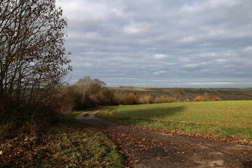 Naklejka premium Autumn landscape with a green field and road