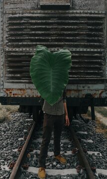 Rear View Of Man Standing On Railroad Track ,use Big Green Leaf Cover His Body With Top View