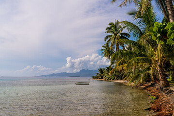 handcrafted boat in beach with palm trees in tropical island in tahaa island in french polynesia