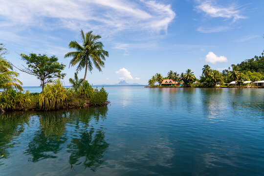 tropical island with palm trees in tahaa french polynesia 