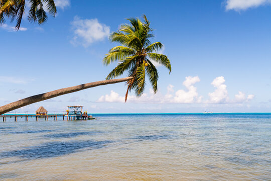 beach with palm trees and sky in paradise island french polynesia lagoon