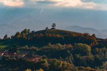 Langhe Series In Autumn - Langhe Unesco World Heritage In Piedmont,