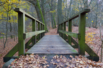 Holzbrücke