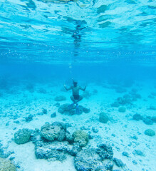 person snorkeling in a reef blue sea lagoon