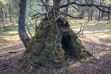 Hovel made of moss and branches in a forest in Mazowsze region of Poland