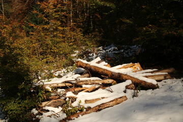 Autumn in the Fusine lakes Natural Park, Italy