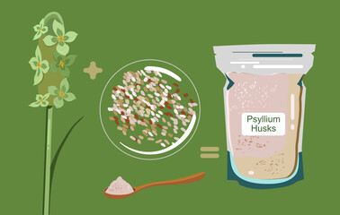 Psyllium plant,flowers,husks in packet and wood spoon with powder.Ispaghula seeds and grain.Organic healthy vegan dietary fiber.Keto flour.Superfood.Hand drawn doodle vector poster for bio shop