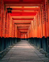 Fototapeta premium Fushimi Inari Taisha empty