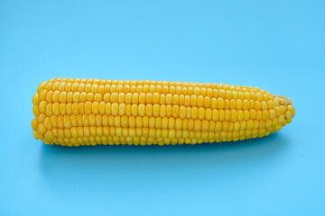 Sweetcorn Against Blue Background. Flat lay composition with tasty sweet corn cobs on color background. Cobs of ripe raw corn on blue background. Top view.