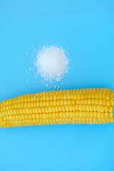 Sweetcorn Against Blue Background. Flat lay composition with tasty sweet corn cobs on color background. Cobs of ripe raw corn with salt on blue background. Top view.