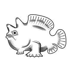 Frog fish Illustration