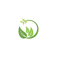 Leaf  ecology Logo Template vector