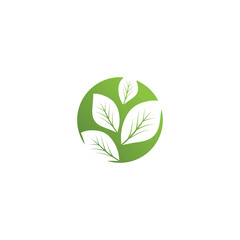 Leaf  ecology Logo Template vector